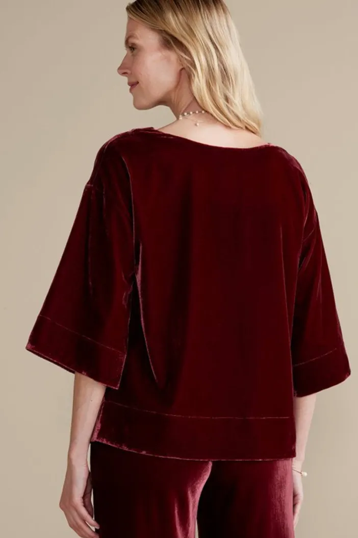 Soft Surroundings Tops|Aria Velvet Top