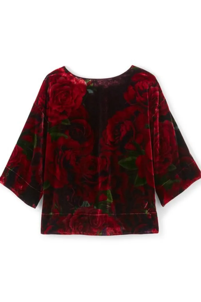 Soft Surroundings Tops|Aria Velvet Top