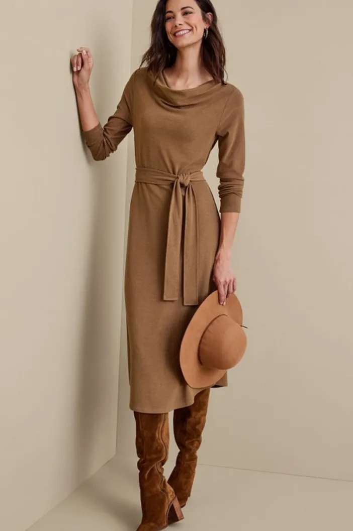 Soft Surroundings Dresses|Paula Dress CocoaBrown