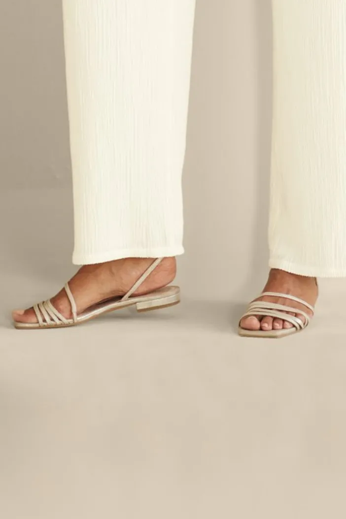 Soft Surroundings Shoes|Pelle Moda Haize Strappy Sandal