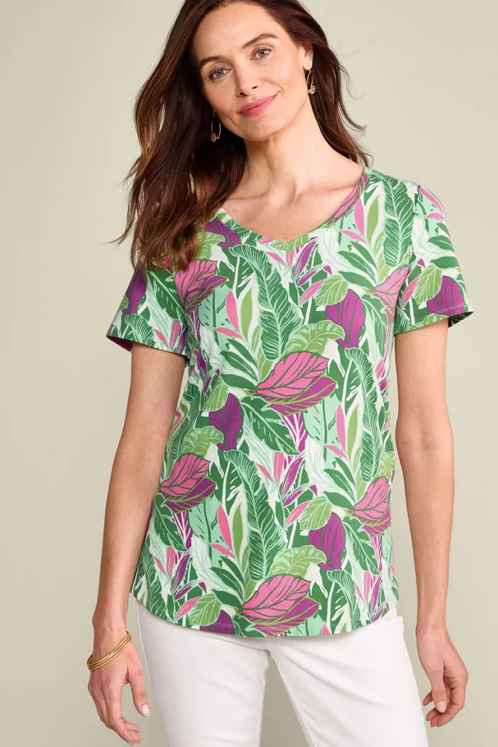 Soft Surroundings Tops|Tunics & Leggings|Soft Essential Supima Isabel Short Sleeve Tunic
