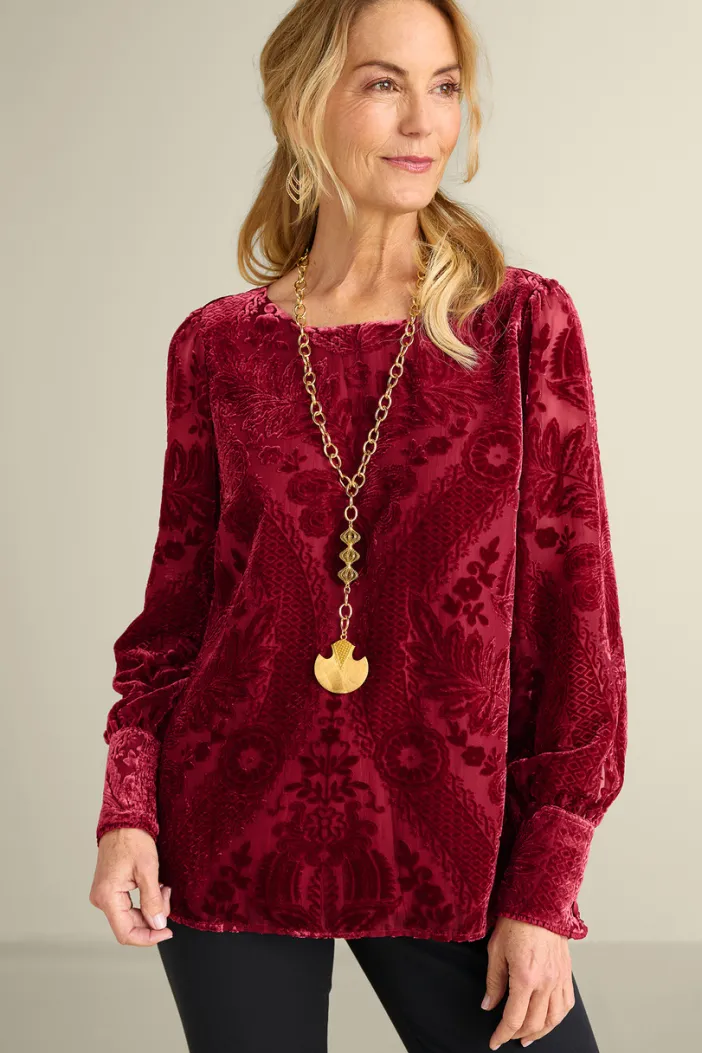 Soft Surroundings Tops|Vanetta Velvet Top
