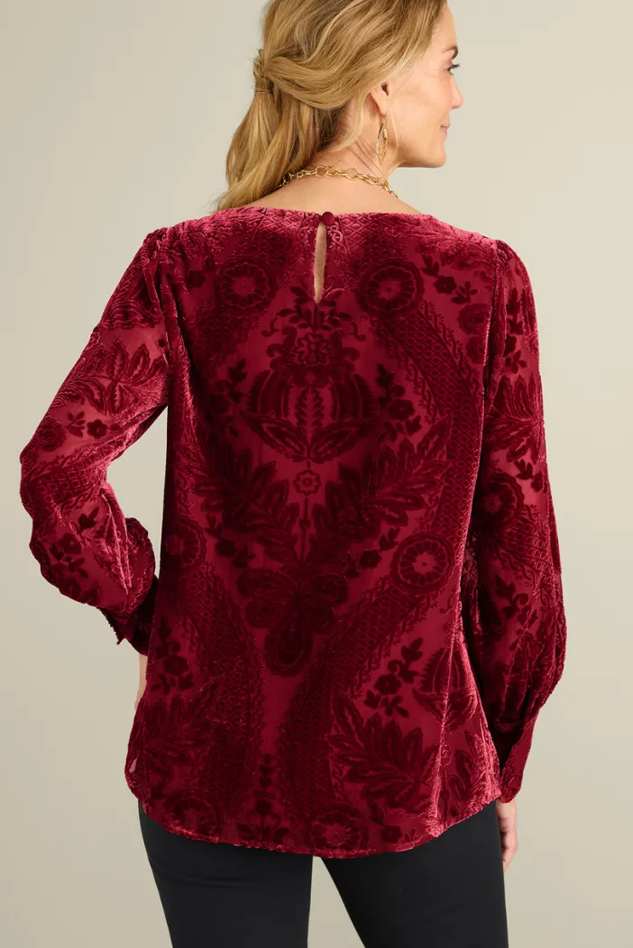 Soft Surroundings Tops|Vanetta Velvet Top