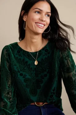 Soft Surroundings Tops|Vanetta Velvet Top