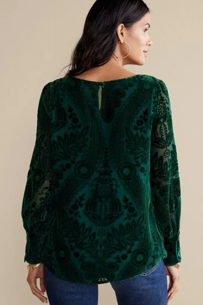 Soft Surroundings Tops|Vanetta Velvet Top